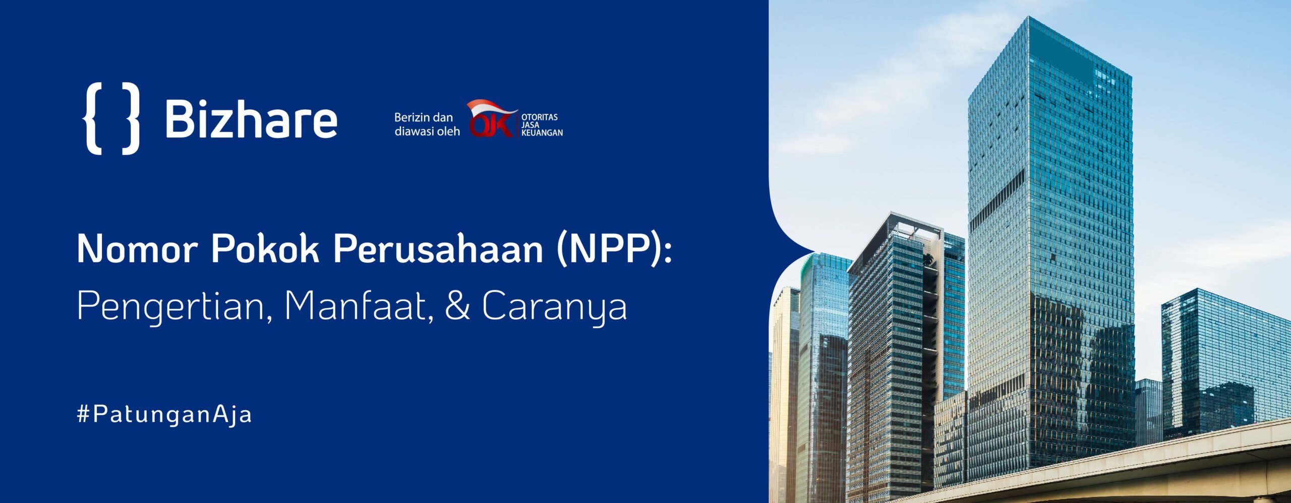Nomor Pokok Perusahaan
