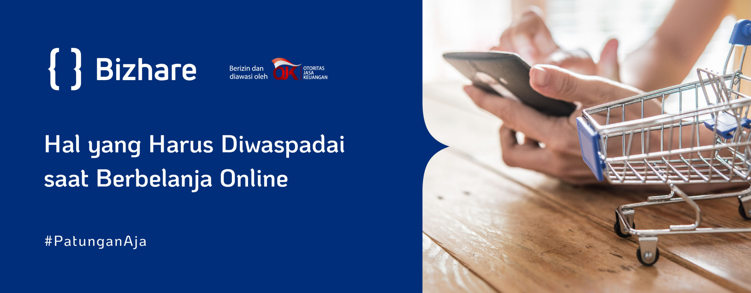 Hal yang harus diwaspadai saat berbelanja online